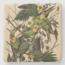 Recherche de perruches dessous de verres Illustration