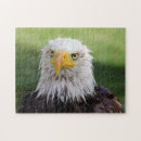 Recherche de aigle puzzles Sauvage