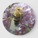 Recherche de buisson horloges Floral