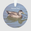 Recherche de canard en plastique ornements Noël