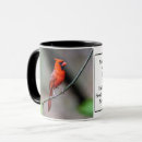 Recherche de cardinale tasses Observation des oiseaux