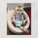 Recherche de toilettes invitations Humour