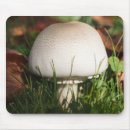 Zoek naar champignon muismatten Paddenstoel