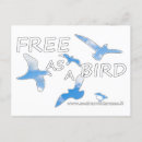 Recherche de oiseau libre cartes postales Ciel