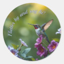 Recherche de gracieux autocollants Nature