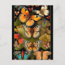 Recherche de haeckel cartes postales Botanique