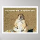 Recherche de prairies posters Animaux