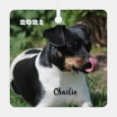 Recherche de jack russel ornements Amoureux des chiens