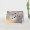 Zoek naar laatste chemo kaarten Felicitaties