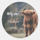 Zoek naar kalf stickers Koe op het hoogland