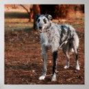 Recherche de ipads posters Animal