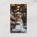 Recherche de salon de toilettage cartes visite Boutique canine