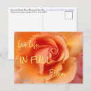 Recherche de abricots cartes postales Jardinage