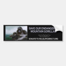 Recherche de gorille voiture autocollants Gorilles de montagne