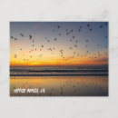 Recherche de venice beach cartes postales Coucher de soleil