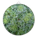 Recherche de légume jeux de fléchettes Nourriture