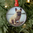 Zoek naar french bulldog ornamenten Huisdieren