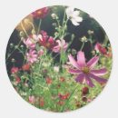 Recherche de flore sauvage autocollants Nature