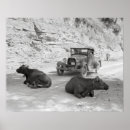 Recherche de vache vintage art Campagne