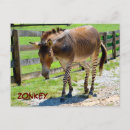 Recherche de âne mignon cartes postales Animal