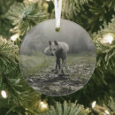 Zoek naar siberian husky ornamenten Kronkelig