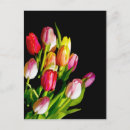 Zoek naar tulpen briefkaarten Bouquet