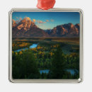 Recherche de snake ornements Paysage