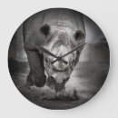 Recherche de rhinocéros horloges Blanc