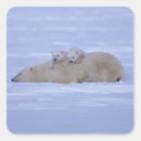 Zoek naar temperatuur stickers Natuur