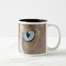 Recherche de sphynx tasses Animal