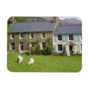 Recherche de le pays de galles magnets Grande bretagne