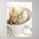 Zoek naar muizen posters Muis