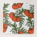Recherche de tomate puzzles Vintage