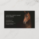 Recherche de profil cheval cartes visite Équestre
