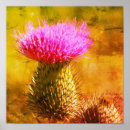 Zoek naar distels posters Botanisch