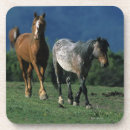 Recherche de mustang dessous de verres Sauvage