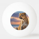 Recherche de vacances balles ping pong Coucher de soleil
