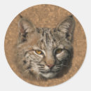 Recherche de bobcat autocollants Nature