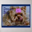 Recherche de yorkshire terrier posters Chiots