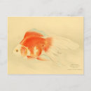 Recherche de de poisson rouge cartes postales Illustration
