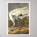 Recherche de huée posters Pour tous