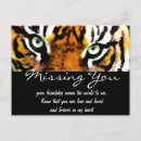 Recherche de yeux tigre cartes postales Animaux