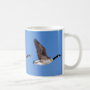Recherche de oies de vol tasses Faune