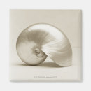 Recherche de créatures magnets Coquille