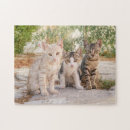 Recherche de funny cat puzzles Cats