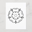 Recherche de roses blanches cartes postales Rose blanche