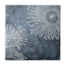 Zoek naar anemone tegels Vintage