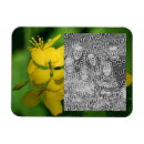 Recherche de fleur sauvage magnets Pour elle