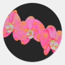 Zoek naar roze orchidee stickers Tropische bloem
