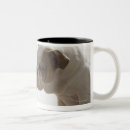 Recherche de jouet en plastique tasses Jaune